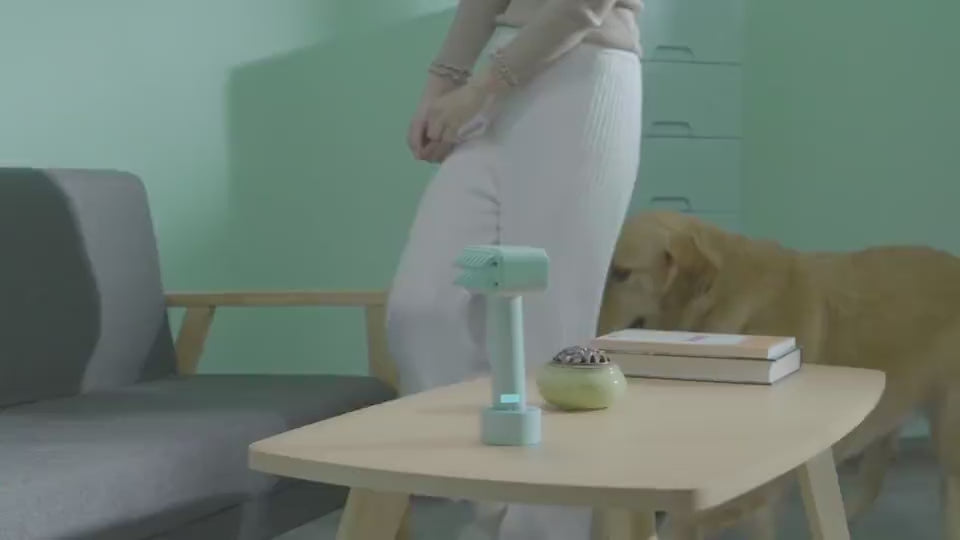 Wireless Electric Pet Comb Remove